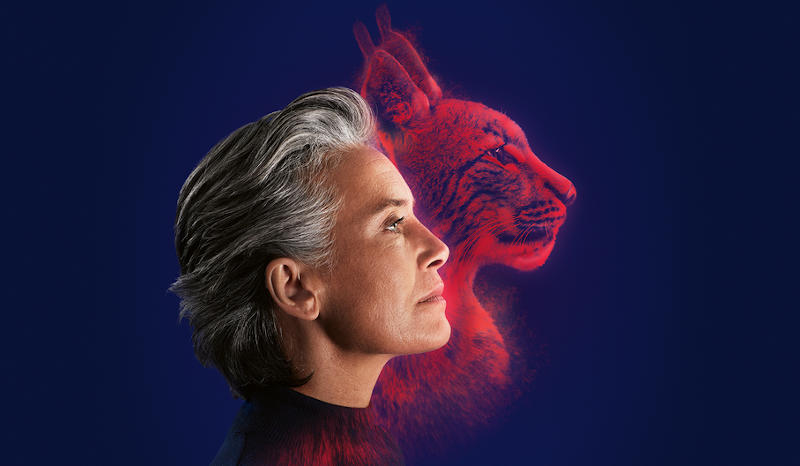 Audífonos Alpha híbridos en AudioKe, Audífonos Alicante