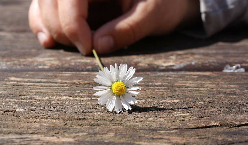 Prueba de audífonos