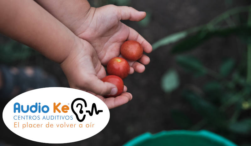 No solo es oír, es necesario entender