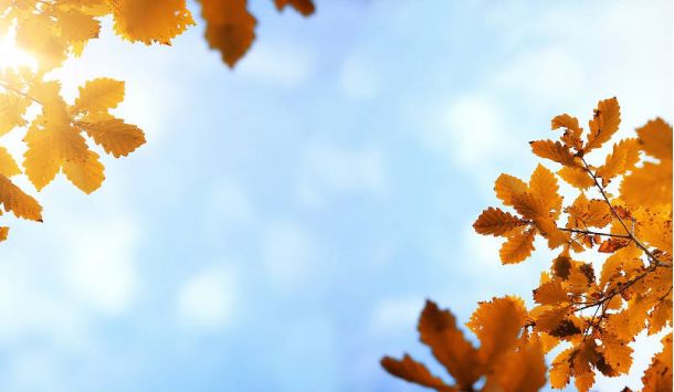 Septiembre audición