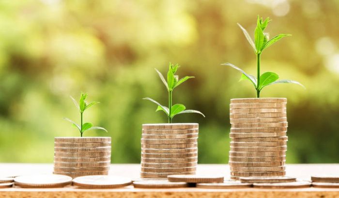 Planta beneficio